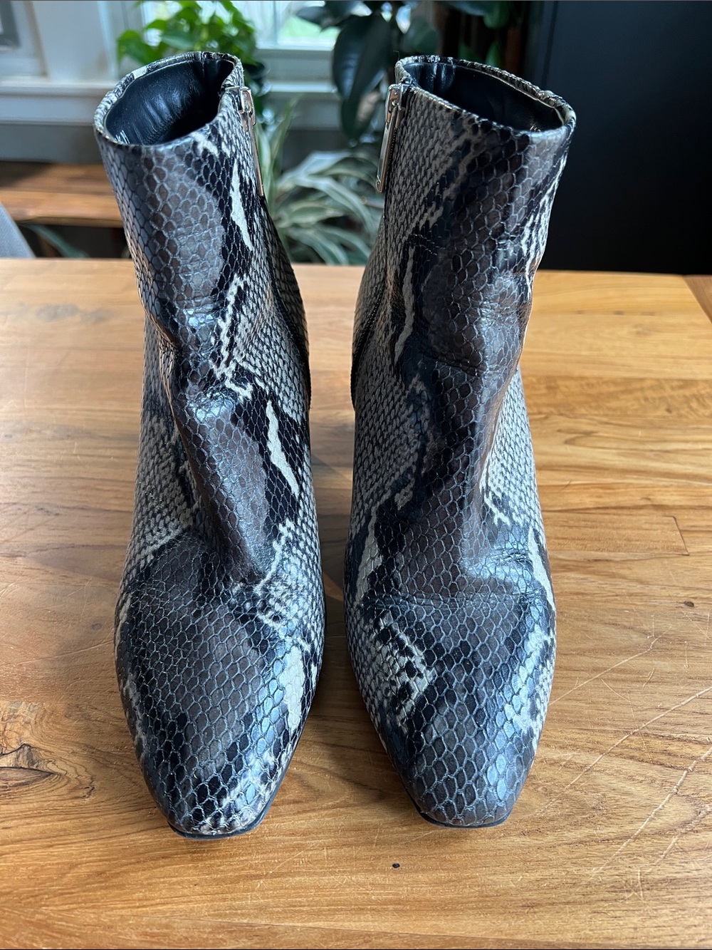 Aquatalia Snake-Print Pointed Ankle Booties - Black and Gray